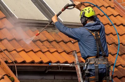 Démoussage et hydrofuge de toiture à Biarre